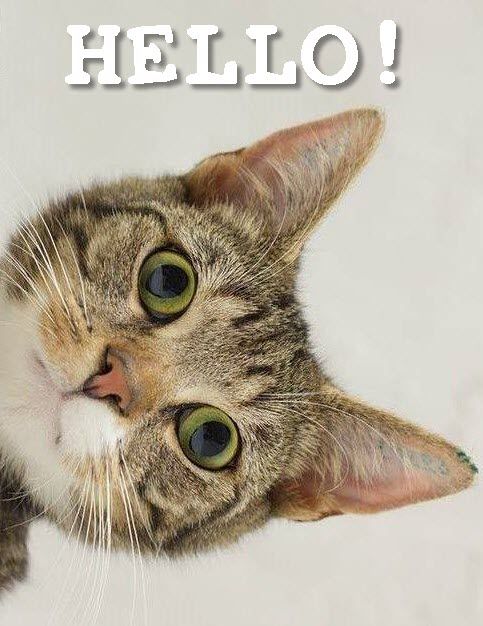 https://drive.pastibisa.app/35_Incredible Eyes - 9th August 2016.jpg
